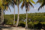 linga_linga_mangroves_05