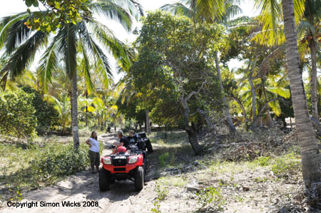 linga_linga_quad_04
