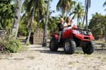 linga_linga_quad_01