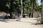 linga_linga_quad_12