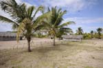 linga_linga_school_06