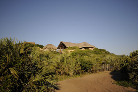 ADSC_0002