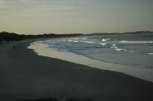 nordins_01