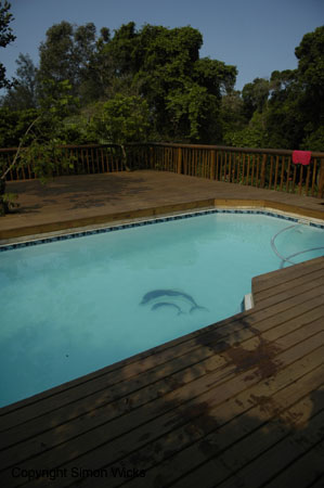 ntsuty_lodge_ponta_02