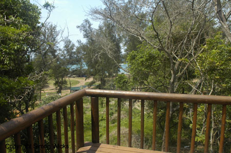 ntsuty_lodge_ponta_06