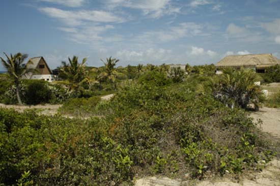 ocean_view_lodge_22
