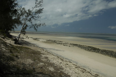 _DSC0500