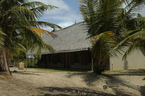 palmgrove_05