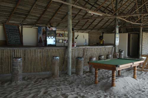 palmgrove_06