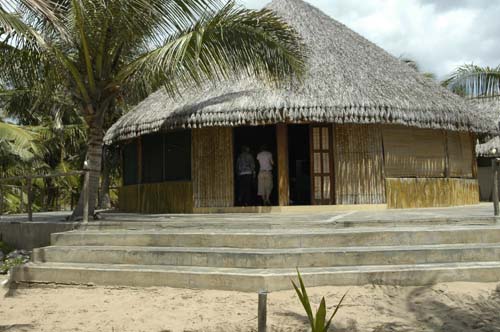 palmgrove_14
