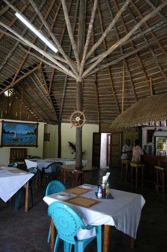 palmgrove_15