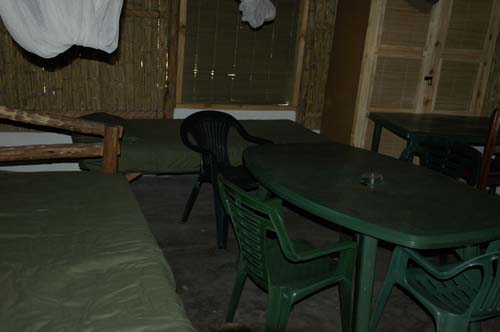 palmgrove_16