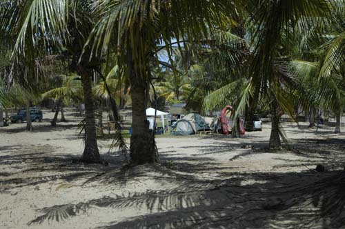 palmgrove_21
