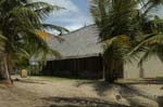 palmgrove_05