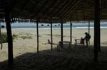 palmgrove_09