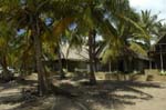 palmgrove_11