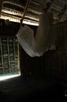 palmgrove_12