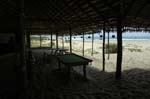 palmgrove_20