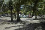 palmgrove_21