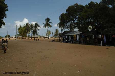 _DSC0008
