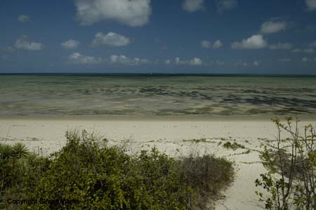 _DSC0015