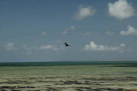 _DSC0018