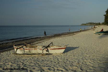 _DSC0065