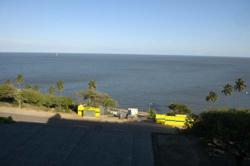 polana_ (19)