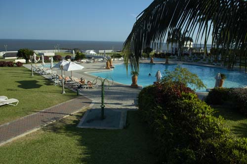 polana_ (5)
