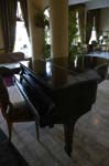 polana_ (40)
