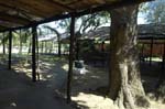 ponta_cabanas_12