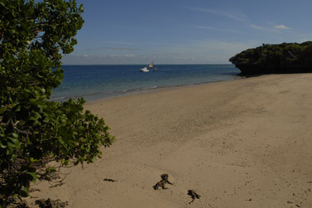 DSC00202007-05-31_08.45.16