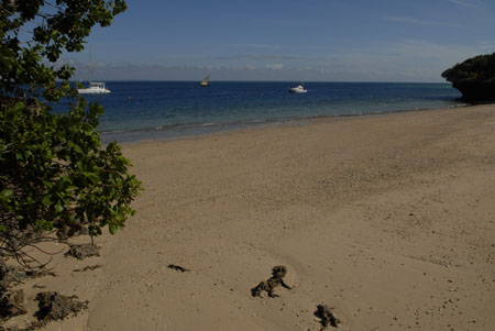 DSC00222007-05-31_08.46.18