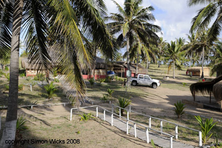 _DSC0487