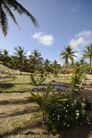 _DSC0551