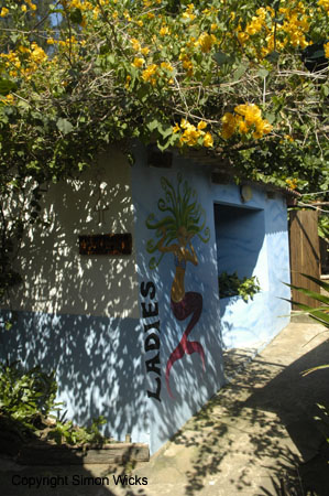 simply_scuba_08