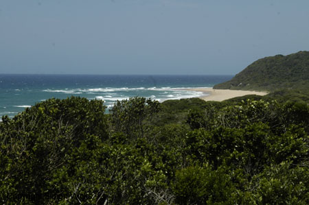tartaruga_beach_01