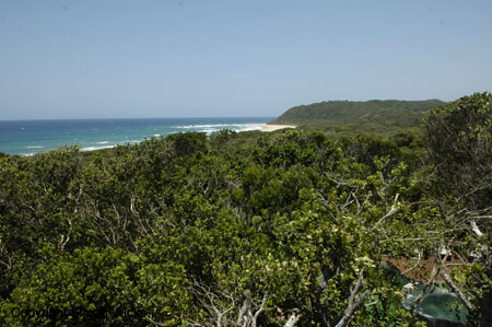 tartaruga_beach_02