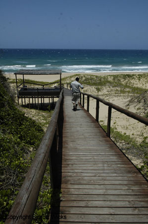 tartaruga_beach_03