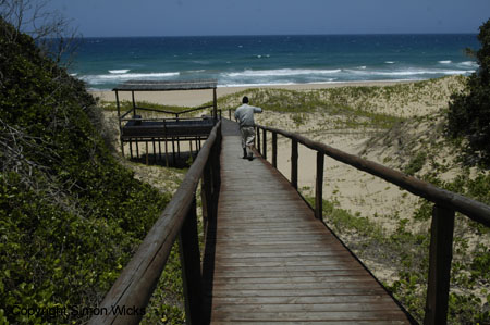 tartaruga_beach_04