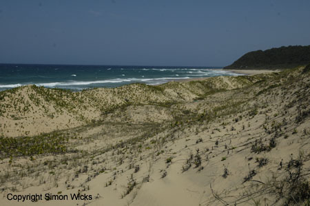 tartaruga_beach_05