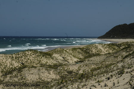 tartaruga_beach_06