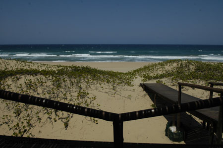 tartaruga_beach_08