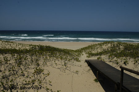 tartaruga_beach_10