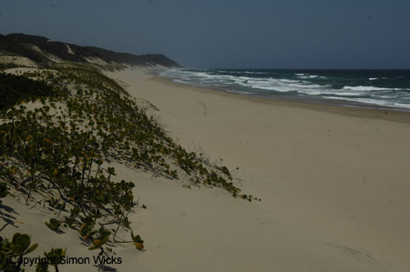 tartaruga_beach_11