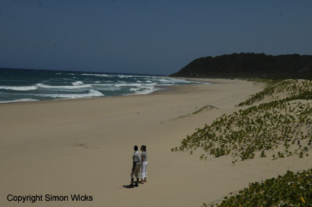 tartaruga_beach_12