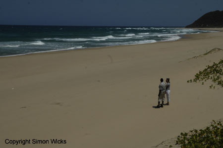 tartaruga_beach_13