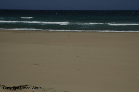 tartaruga_beach_14