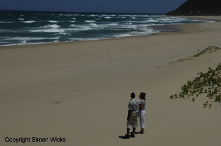 tartaruga_beach_15