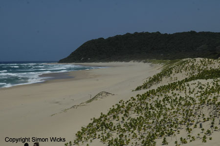 tartaruga_beach_16